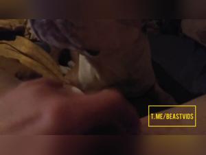 Animal Delights: A world of hardcore female and canine sex