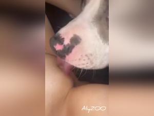 Animal delights: boundless beastly porn