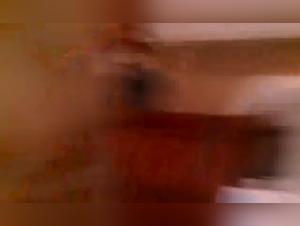 Animal Delights: Excavated Fantasies Realized