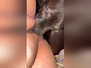 Animal Delights: Feminine and Canine Passion before Sleep