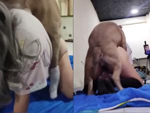 Animal Delights: Go Beyond the Limits with Incandescent Reactions