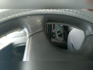 Animal Delights: Hardcore Car Rape