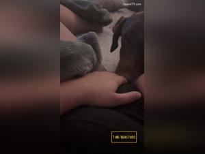 Animal delights: licking and hardcore canine fuck