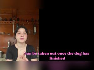 Animal Delights: Milly Delves into Canine Obsession (Part 47)