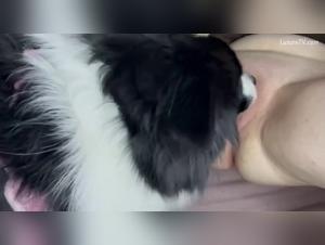 Animal delights: Montgomery in bed with her dog