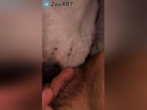 Animal delights: wild and hardcore fuck