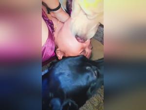 Animal Delights: XXX Videos where the Power is Animal