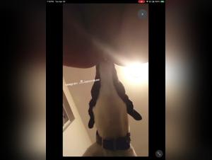 Animal desire: Ebony teen under the control of a dog