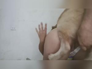 Animal desire: Explore the boundaries of prohibited Pleasure