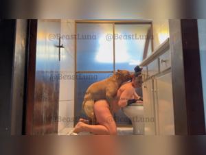 Animal Desire: Explore the dark side of female sexuality