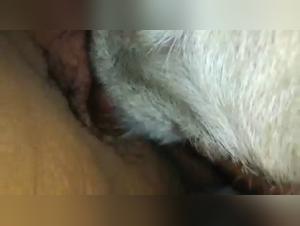 Animal Desire: Explore the Depths of Kissing with Dog