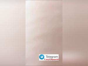 Animal Desire: Extremely Harried Asian Sexual Exploits