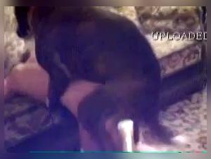 Animal Desire: Milly and Her Dog in a Senseless Fuck