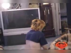 Animal Desire: Milly and the Dog in a Hardcore Obsession