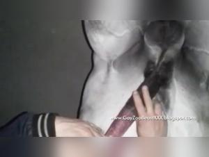 Animal Desire: Milly and the Horse in an Obscure Dance