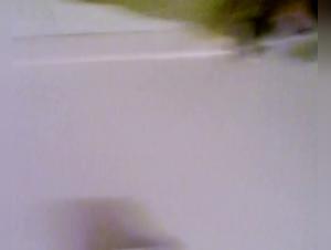 Animal Desire: Milly Submissive to the Dog