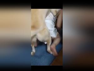 Animal desire: the wife under the yoke of the dog