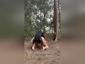 Animal desire, wild canine enjoyment