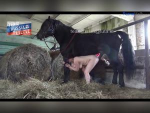 Animal Desire: Wild Female and Horse Fuck