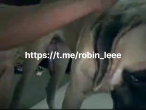 Animal Desire: Women and Dogs in Gay Intimacy