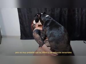 Animal Desire: Women and Dogs in Sexual Incest