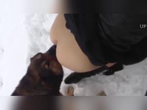 Animal Domination: The Cry of Savagery