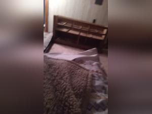 Animal Domination: The Dark Delights of a Woman and her Dog