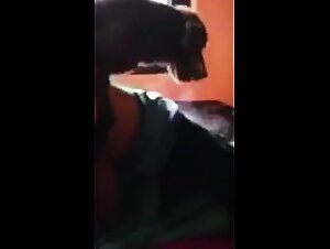 Animal ecstasy: Bestial clip