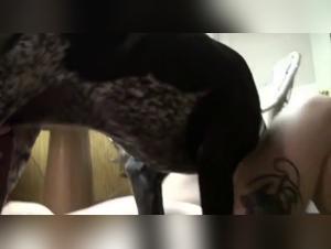 Animal Fantasy: Forbidden Kisses