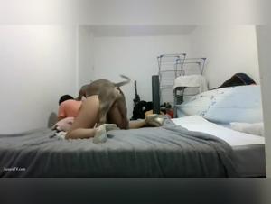 Animal fuck: Hardcore compilation K9