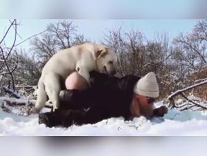 Animal Hell: Forbidden Sexual Delights