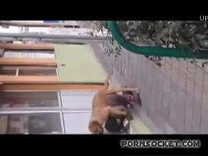 Animal Instinct: Forbidden Kisses