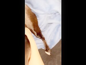 Animal Instinct: Unleashed