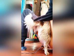 animal libertinism: wild teen and voracious appetite