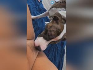 Animal Licks: Uncontrolled Female Ecstasy