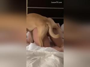 Animal Lust: Freak in the Sheets