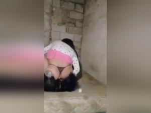 Animal Obscenities: Explore the Forbidden Desire