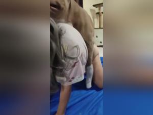 Animal Obsession: Debauchery and Bestialism in the Extreme