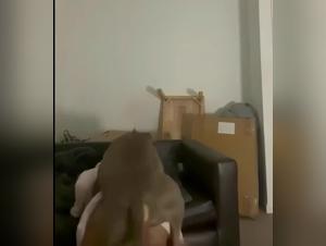 Animal Obsession: Rebel Frontiers of Desire