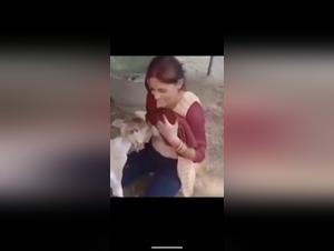 animal orgies and perverse lactation