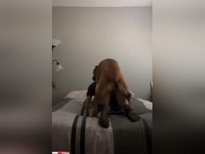 Animal orgies, Bestial Sex without limits