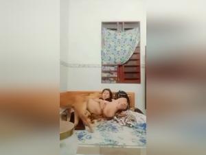 Animal orgies: dog, brutal sex and instinct