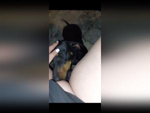 Animal orgies: wild passion