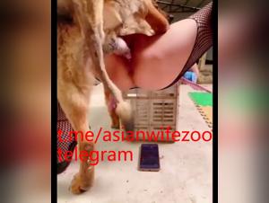 animal orgies with Asian wife, absolute prohibition