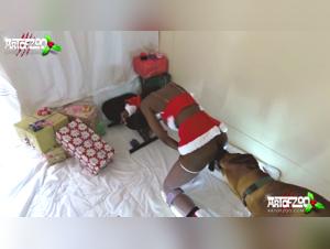 Animal porn animalsex, slut sucks dog