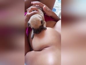 Animal Porn Slut
