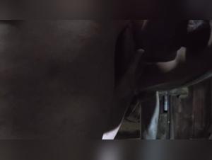 Animal Porn with Sexy Women