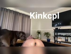 Animal pornography, French zoophilic porn