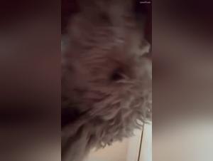 animal prey, prohibited fuck