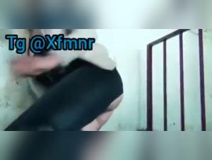 Animal Rampage: Dog Fucks Unrestrained Woman